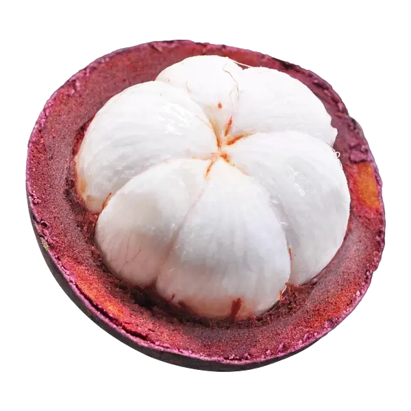 Mangosteen